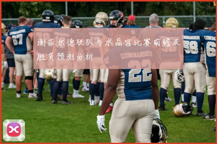 谢菲尔德联队与水晶宫比赛前瞻及胜负预测分析