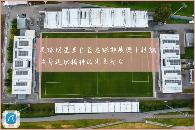 足球明星亲自签名球鞋展现个性魅力与运动精神的完美结合
