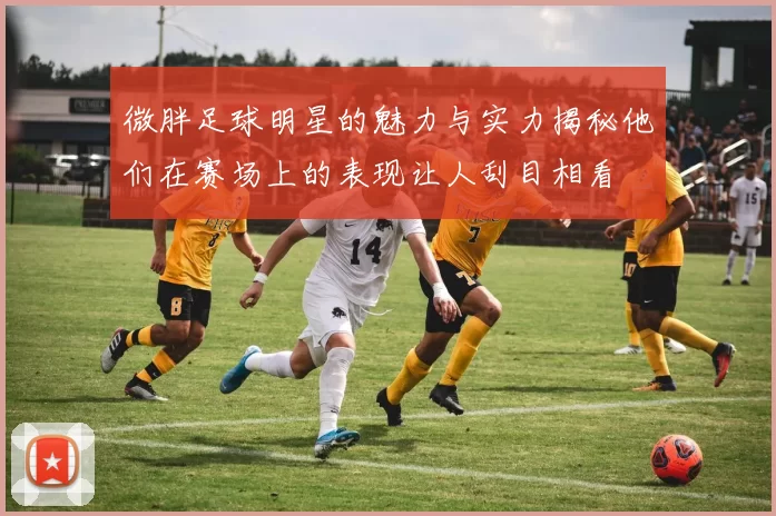 微胖足球明星的魅力与实力揭秘他们在赛场上的表现让人刮目相看