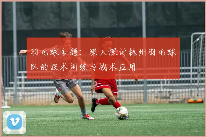 羽毛球专题：深入探讨杭州羽毛球队的技术训练与战术应用
