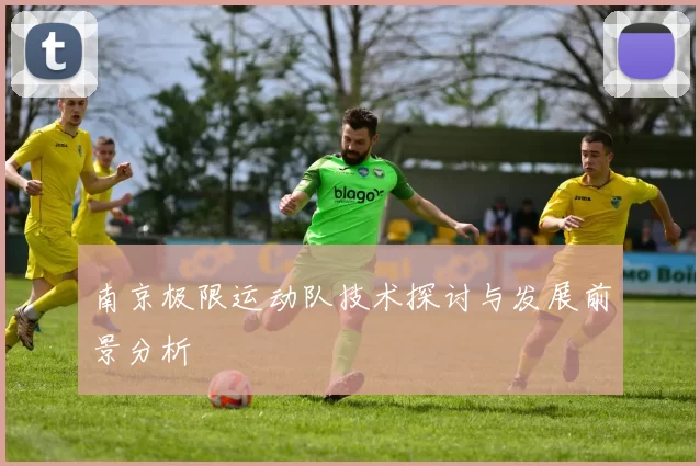 南京极限运动队技术探讨与发展前景分析