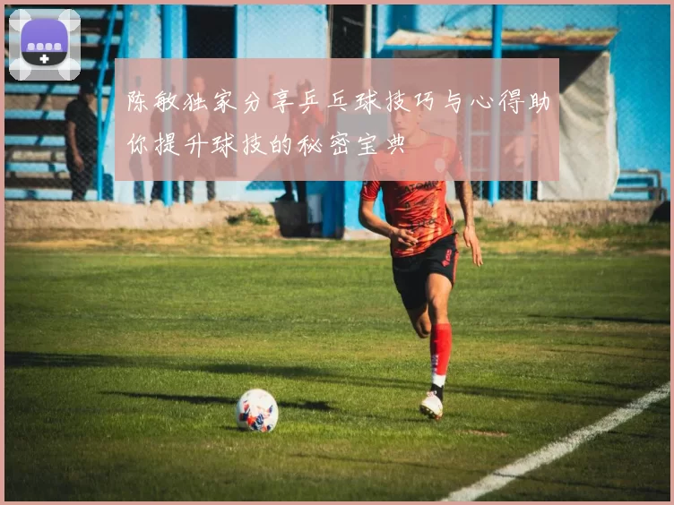 陈敏独家分享乒乓球技巧与心得助你提升球技的秘密宝典