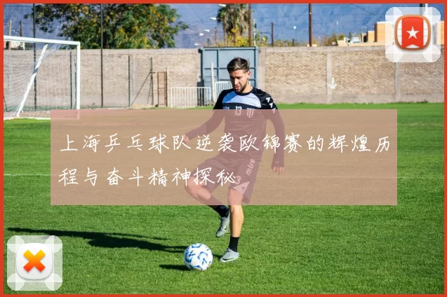 上海乒乓球队逆袭欧锦赛的辉煌历程与奋斗精神探秘