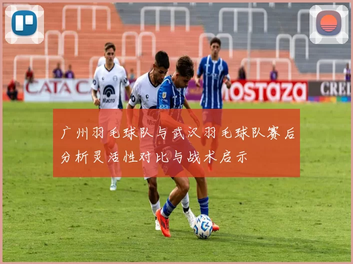 广州羽毛球队与武汉羽毛球队赛后分析灵活性对比与战术启示