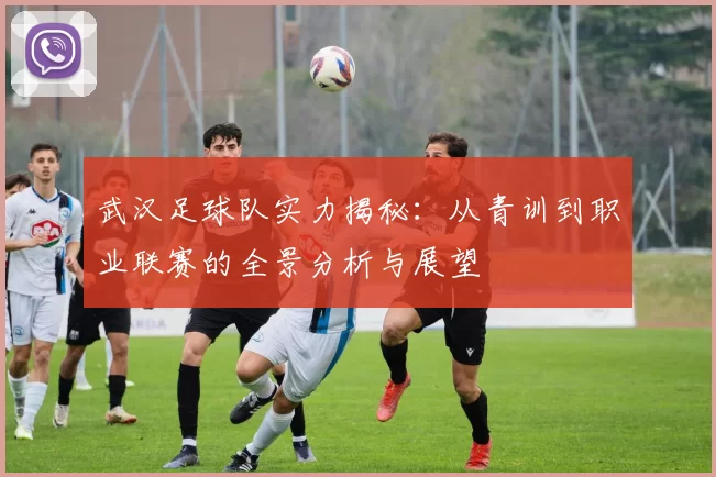 武汉足球队实力揭秘：从青训到职业联赛的全景分析与展望