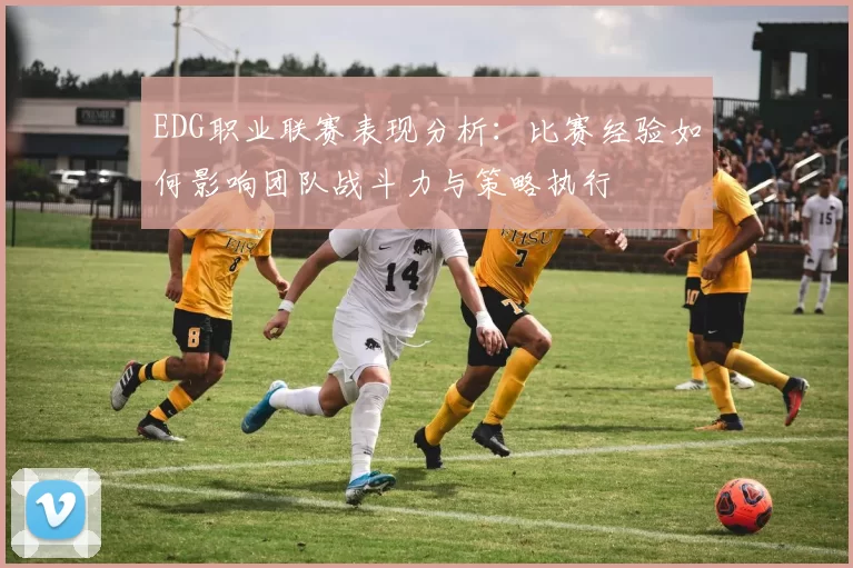 EDG职业联赛表现分析：比赛经验如何影响团队战斗力与策略执行