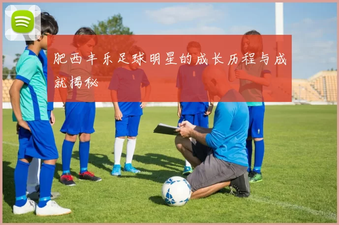 肥西丰乐足球明星的成长历程与成就揭秘