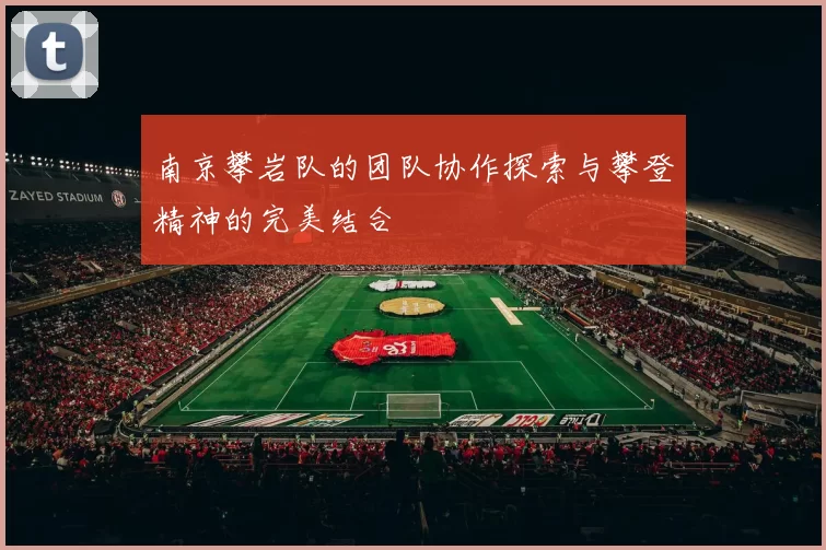 南京攀岩队的团队协作探索与攀登精神的完美结合