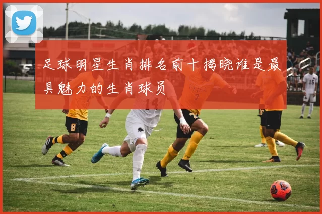 足球明星生肖排名前十揭晓谁是最具魅力的生肖球员