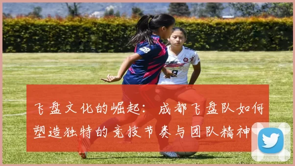 飞盘文化的崛起：成都飞盘队如何塑造独特的竞技节奏与团队精神