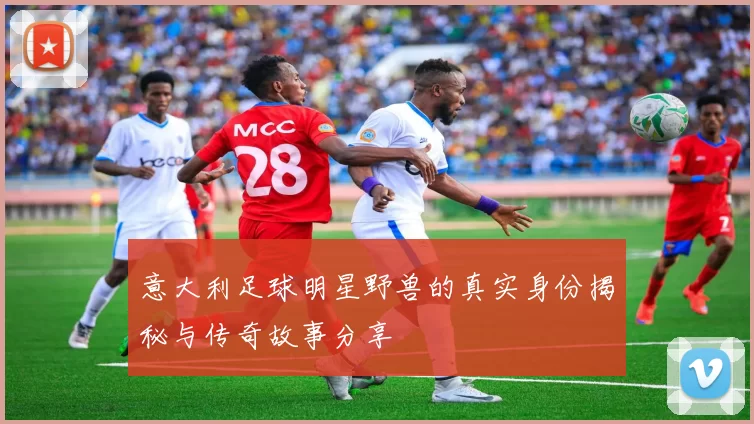 意大利足球明星野兽的真实身份揭秘与传奇故事分享