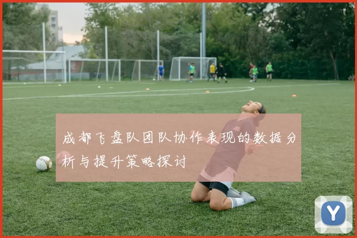成都飞盘队团队协作表现的数据分析与提升策略探讨