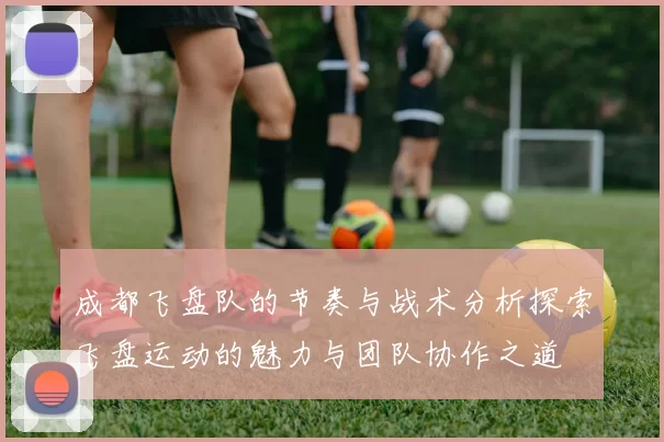 成都飞盘队的节奏与战术分析探索飞盘运动的魅力与团队协作之道