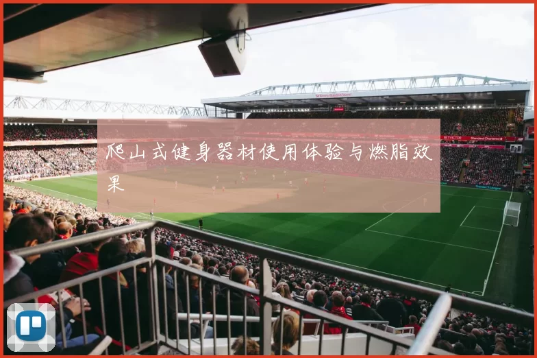 爬山式健身器材使用体验与燃脂效果