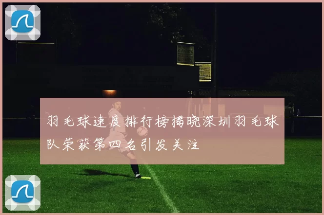 羽毛球速度排行榜揭晓深圳羽毛球队荣获第四名引发关注