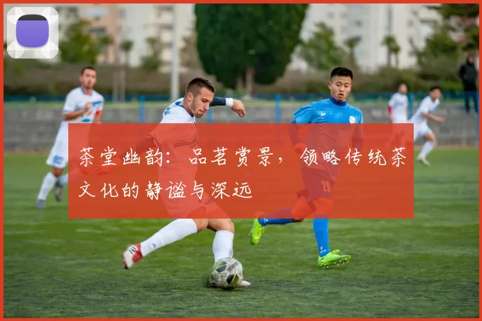 茶堂幽韵：品茗赏景，领略传统茶文化的静谧与深远