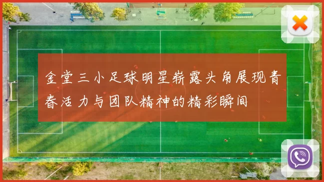 金堂三小足球明星崭露头角展现青春活力与团队精神的精彩瞬间