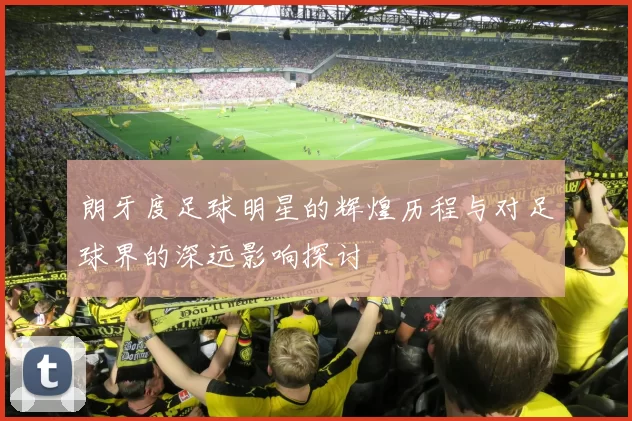 朗牙度足球明星的辉煌历程与对足球界的深远影响探讨