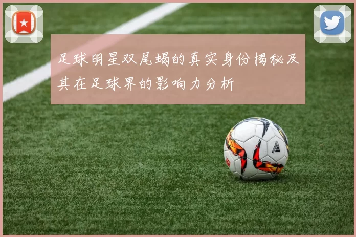 足球明星双尾蝎的真实身份揭秘及其在足球界的影响力分析