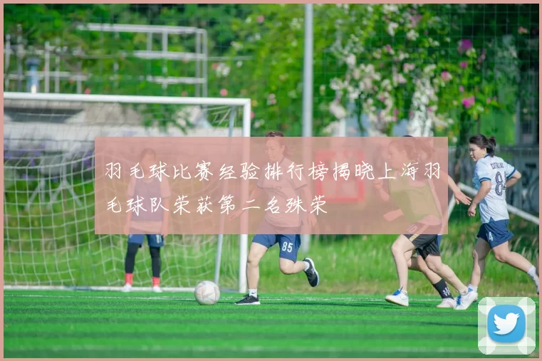 羽毛球比赛经验排行榜揭晓上海羽毛球队荣获第二名殊荣