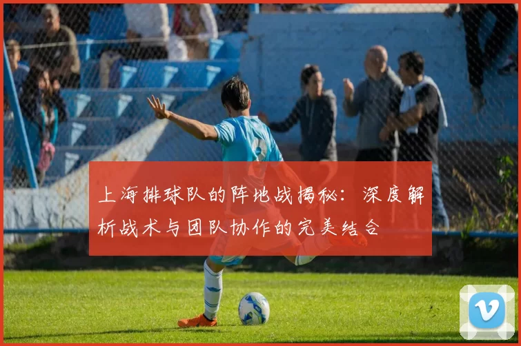 上海排球队的阵地战揭秘：深度解析战术与团队协作的完美结合